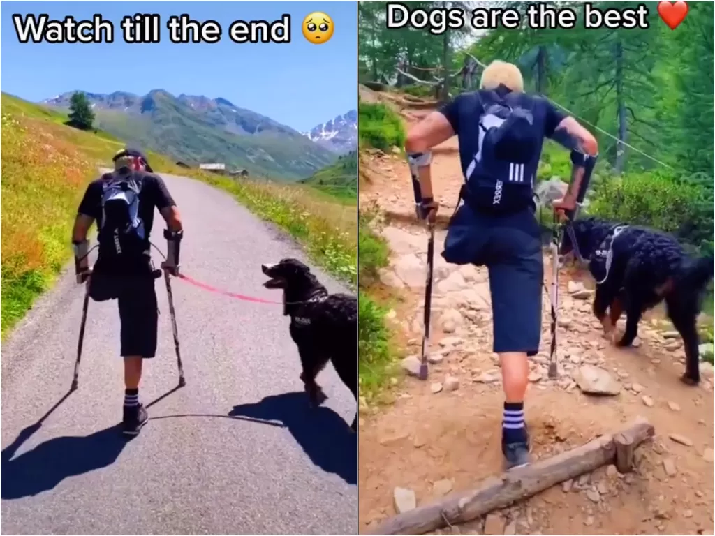 Cuplikan video saat anjing yang temani majikannya mendaki gunung. (photo/Instagram/@pusateriandrea)