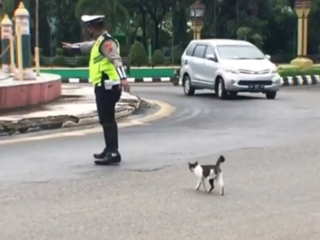 Polisi bantu kucing menyeberang jalan. (Tiktok/@yandie.f)