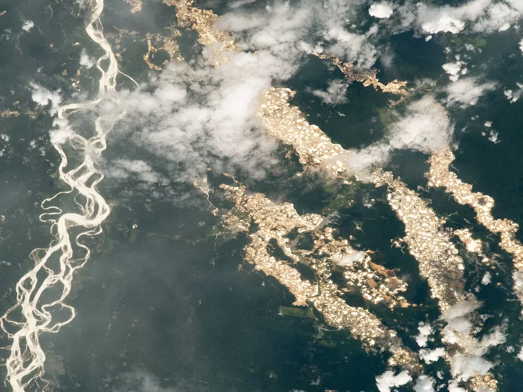 Aliran emas di hutan Amazon (Earthobservatory NASA)