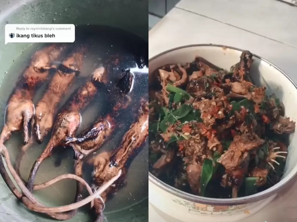 Seorang wanita bagikan tutorial memasak daging tikus (Tiktok/gulagulagoro.01)