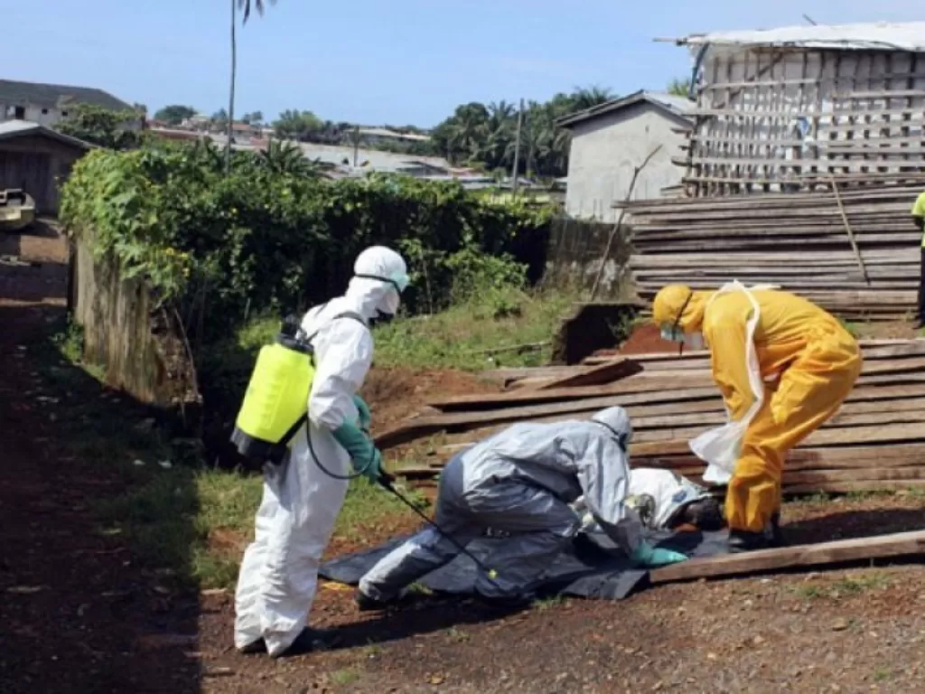 Petugas sedang menangani kasus ebola di Sierra Leone. (Xinhua)