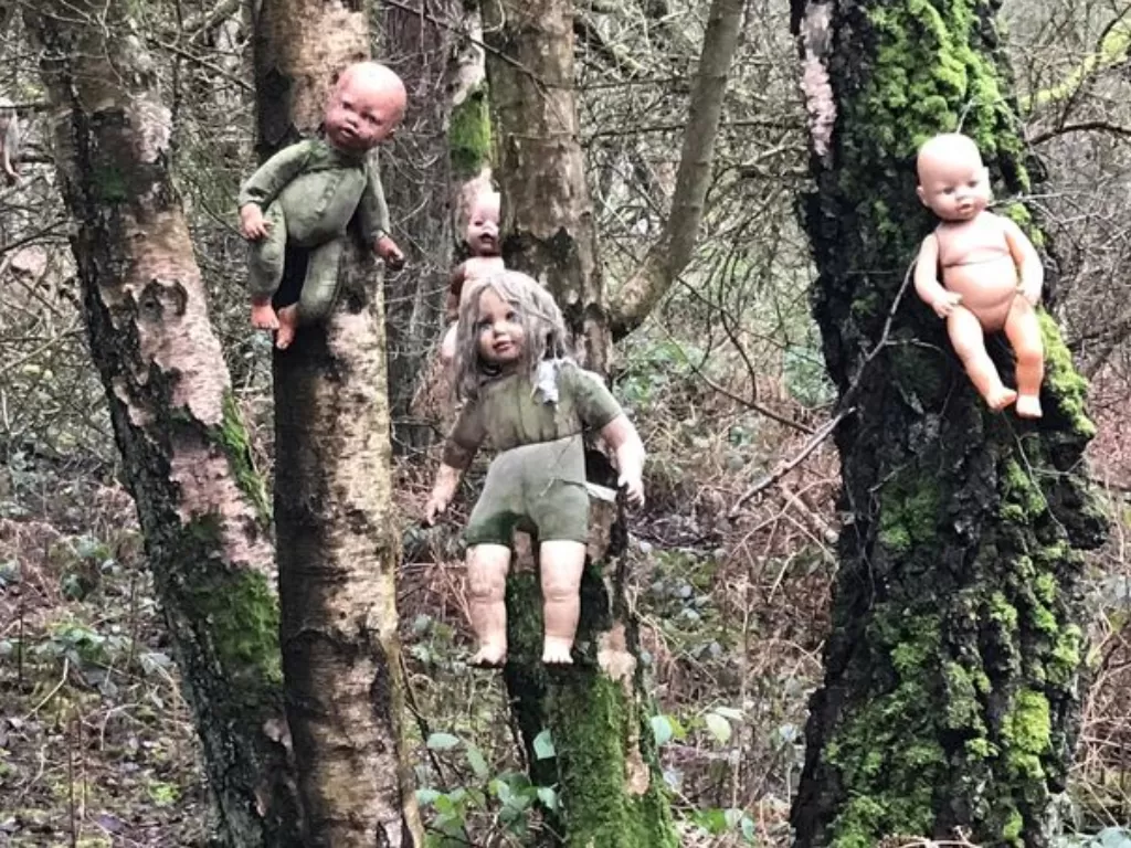 Boneka-boneka di paku di pohon. (Photo/Mirror)