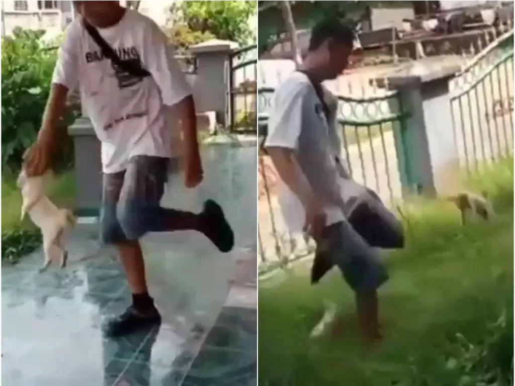 Aksi seorang remaja menyiksa anak kucing dengan cera ditendang (Tangkapan layar)