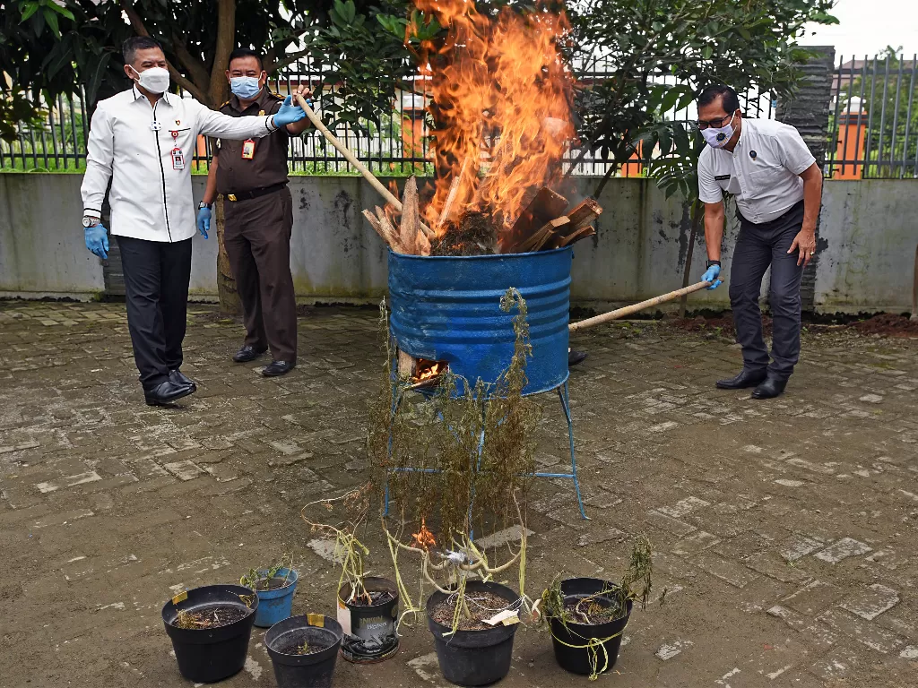 Kepala Badan Narkotika Nasional (BNN) Provinsi Banten Hendri Marpaung (kanan) didampingi Muspida memusnahkan barang bukti sabu (ANTARA FOTO/Asep Fathulrahman)