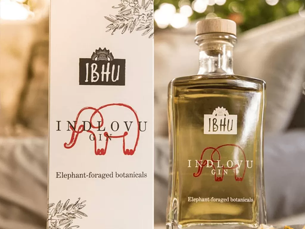 Gin Indlovu. (ifitshipishere.com)