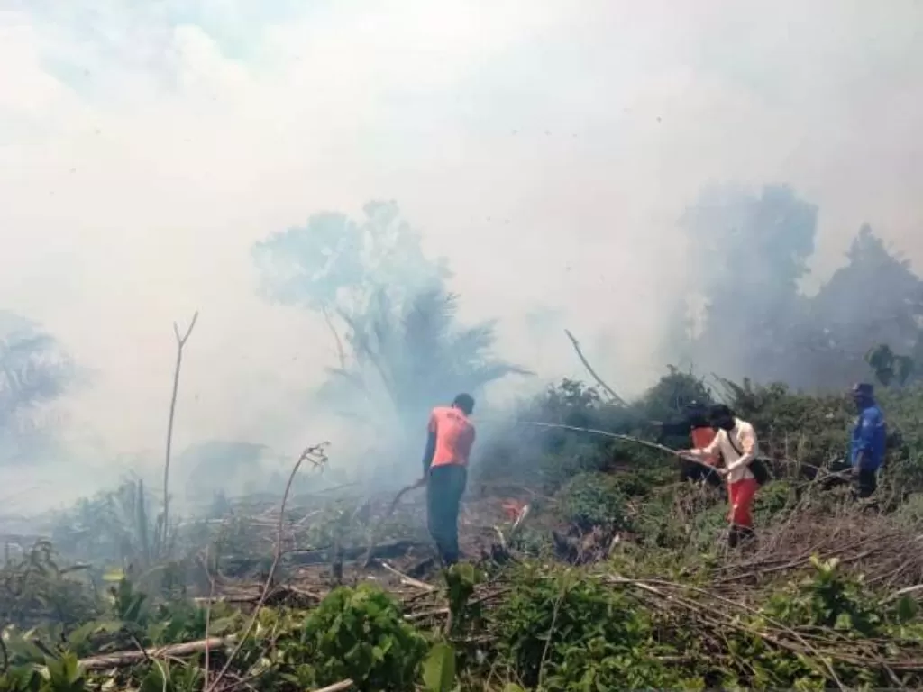 Petugas melakukan upaya pemadaman api di lokasi kebakaran lahan gambut di kawasan Desa Lamie, Kecamatan Darul Makmur, Kabupaten Nagan Raya, Provinsi Aceh, Kamis (18/2/2021). (ANTARA/HO-Dok. BPBD Nagan Raya Aceh) 
