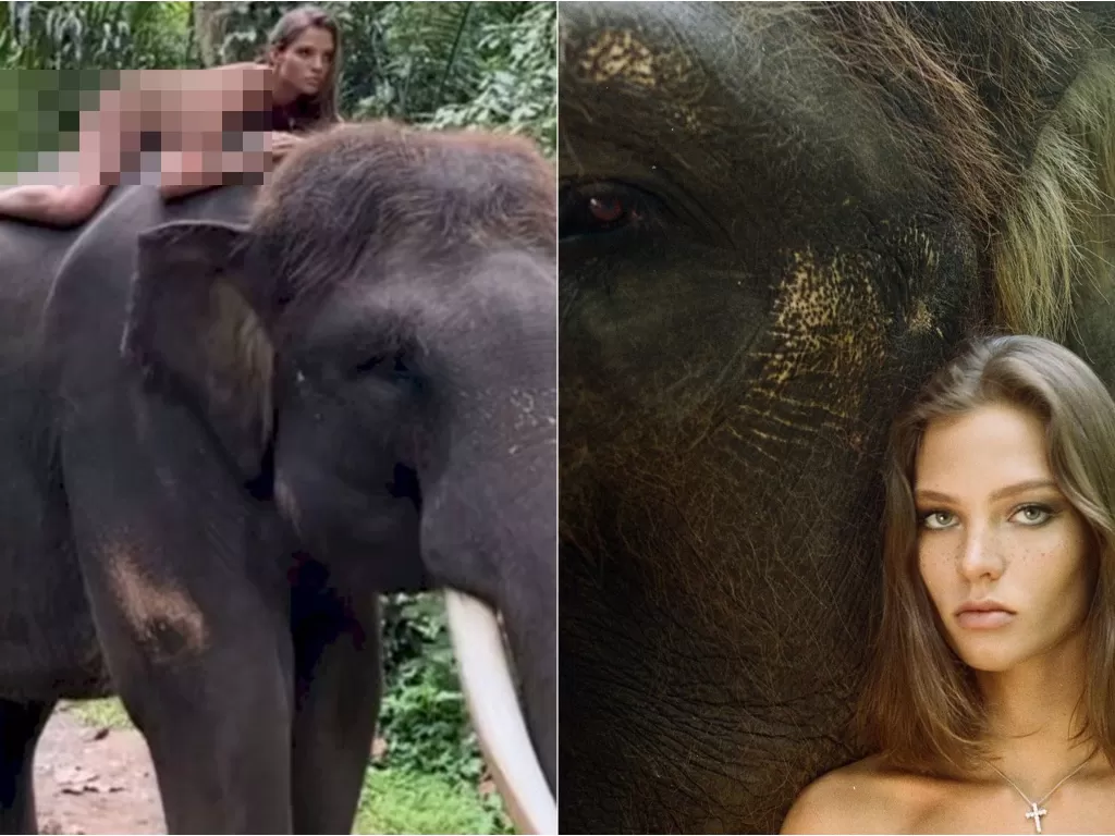 Model Rusia berpose telanjang di atas gajah (Instagram/kafelnikova_a)