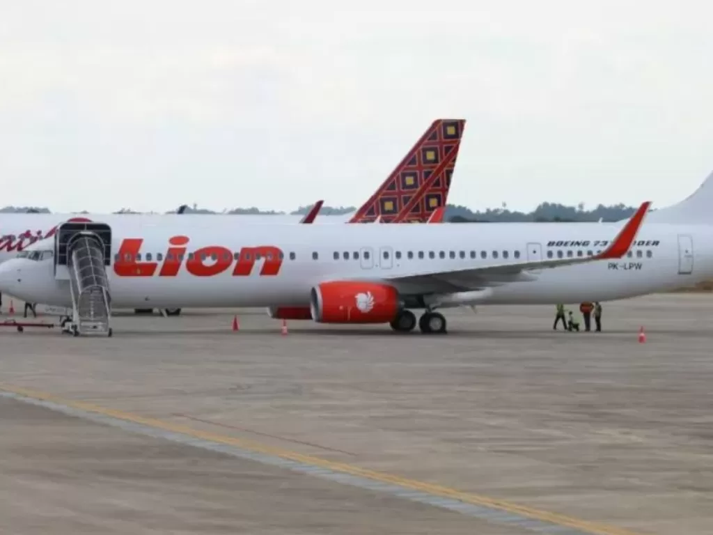 Ilustrasi Pesawat Lion Air (Dokumentasi Lion Air Group)