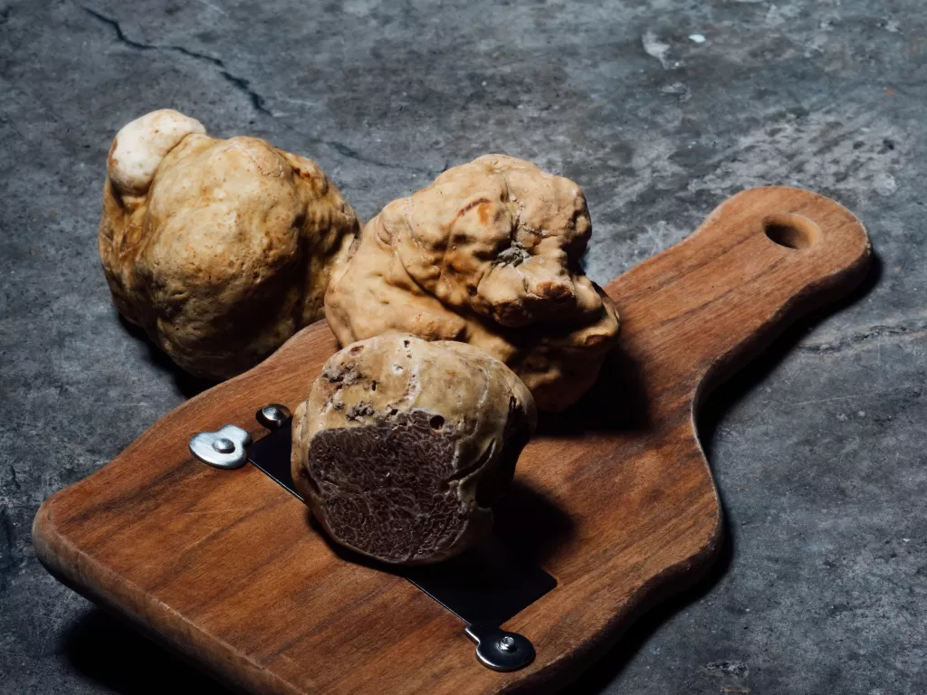 Jamur truffle putih. (Unsplash/@chuttersnap)
