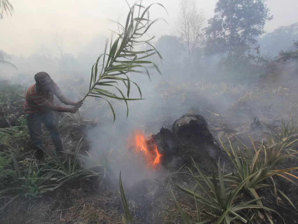 Petani berusaha memadamkan api (ANTARA FOTO/Aswaddy Hamid)