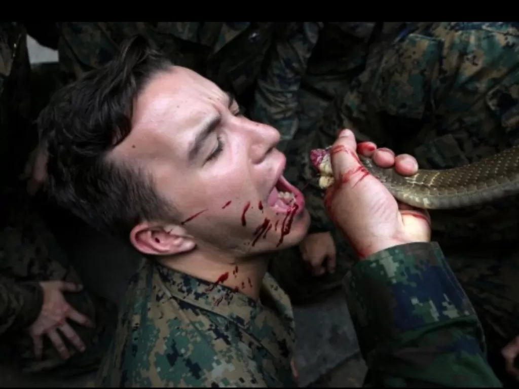 Tentara dipaksa makan tokek dan minum darah ular (REUTERS)