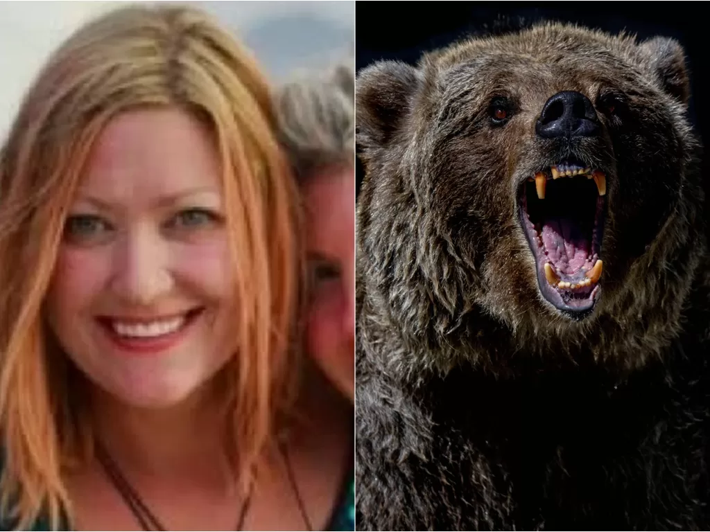 Kiri: Shannon Stevens (Facebook) / Kanan: Ilustrasi beruang (Unsplash)