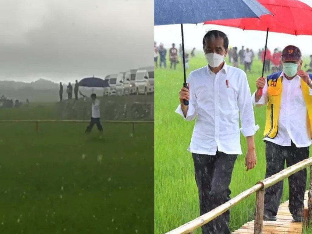 Jokowi saat menembus hujan jalan di tengah sawah di NTT. (Facebook)