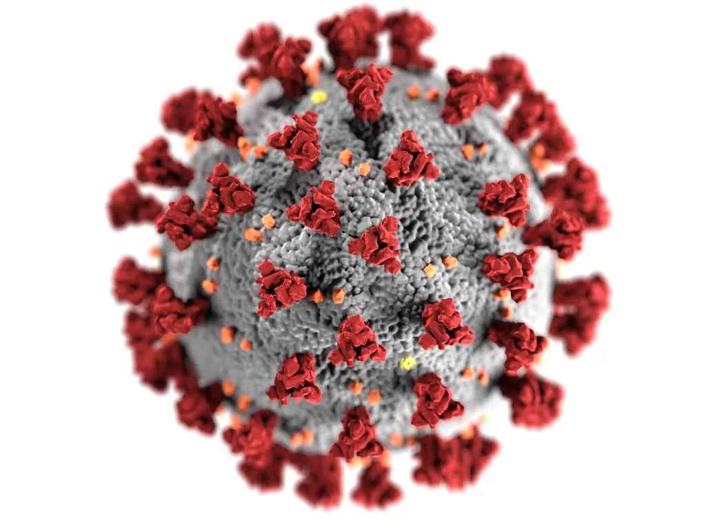 Ilustrasi virus (Pexels/CDC)