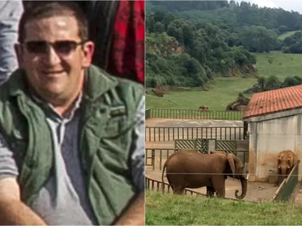 Penjaga kebun binatang tewas setelah tertabrak gajah (Solarpix)