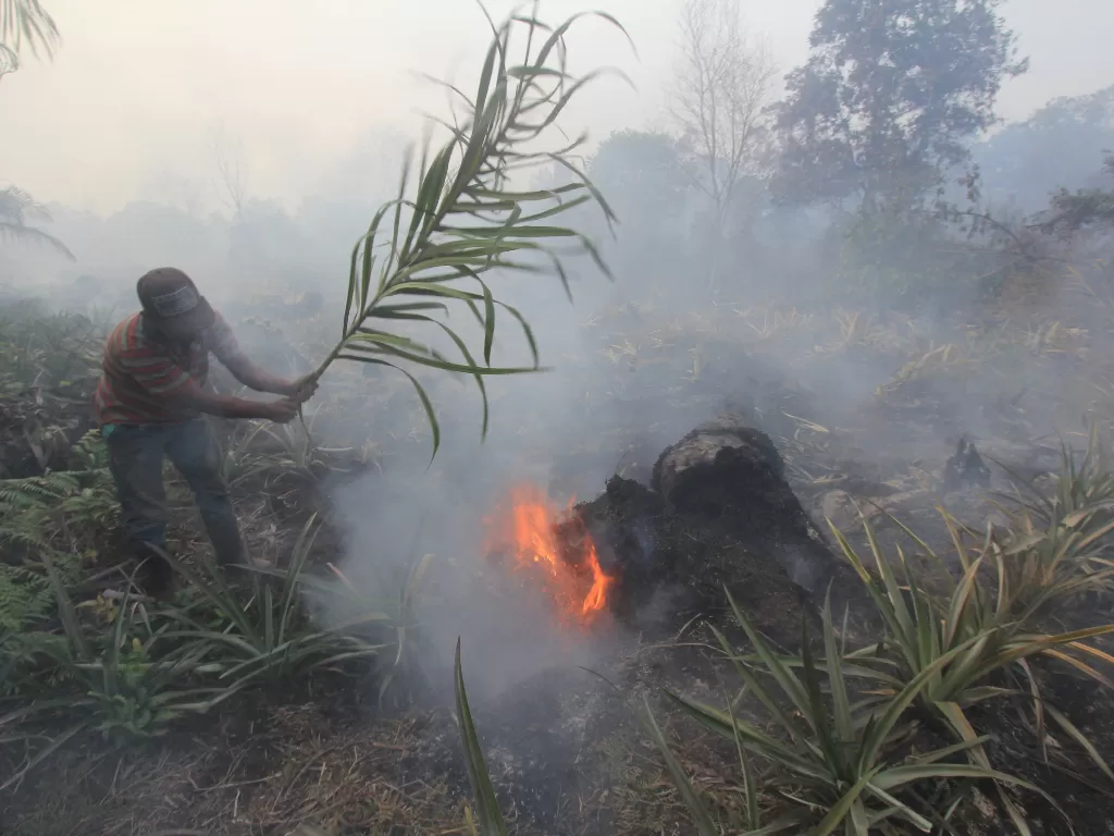 Kebakaran lahan di Dumai, Riau. (photo/ANTARA FOTO/Aswaddy Hamid)