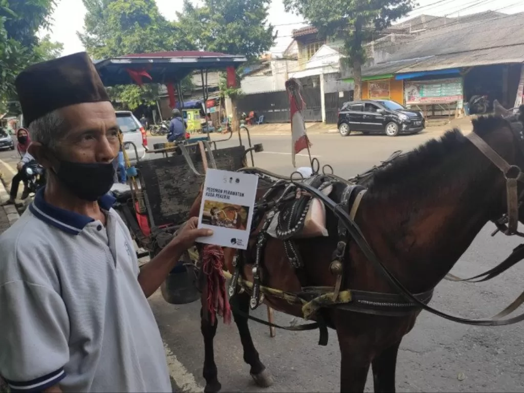  Seorang kusir kuda delman menunjukkan buku panduan merawat kuda usai mendapat vaksinasi tetanus dan obat cacing gratis dalam rangka program sosial peduli kuda pekerja, Kamis (25/2/2021). (ANTARA/HO-Sudin KPKP Jakarta Selatan) 