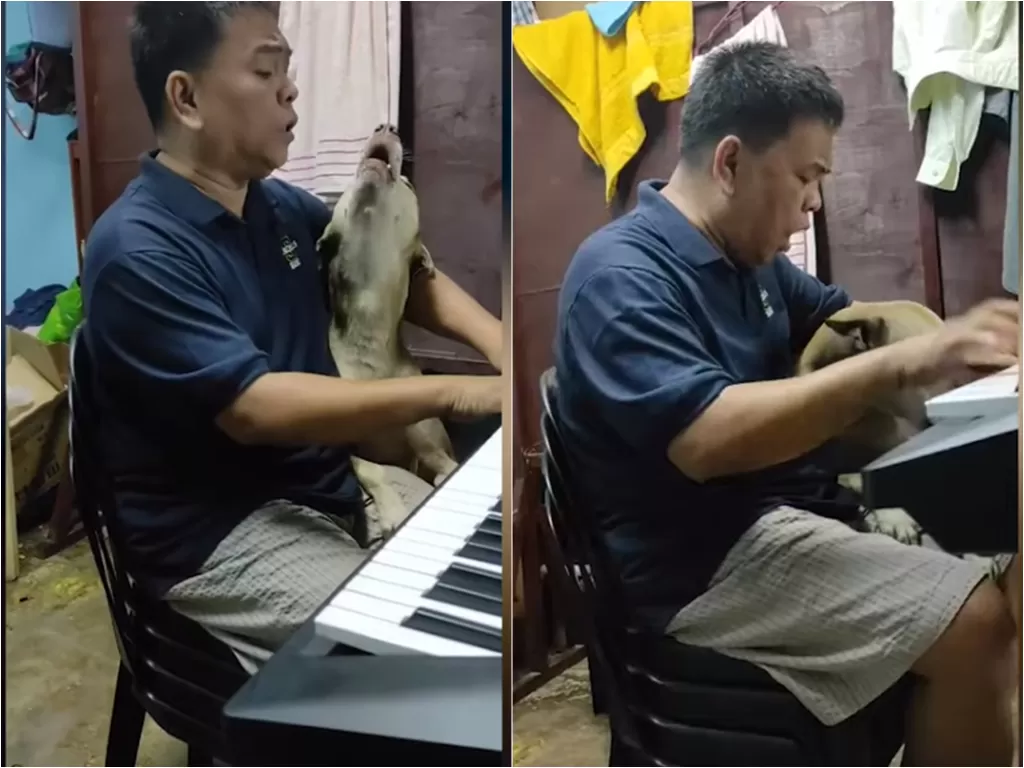 Cuplikan video anjing yang bernyanyi bersama majikannya yang bermain piano. (photo/Youtube/ViralPress)