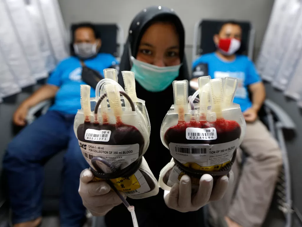 Petugas PMI memperlihatkan darah yang didonorkan (ANTARA FOTO/Irwansyah Putra)
