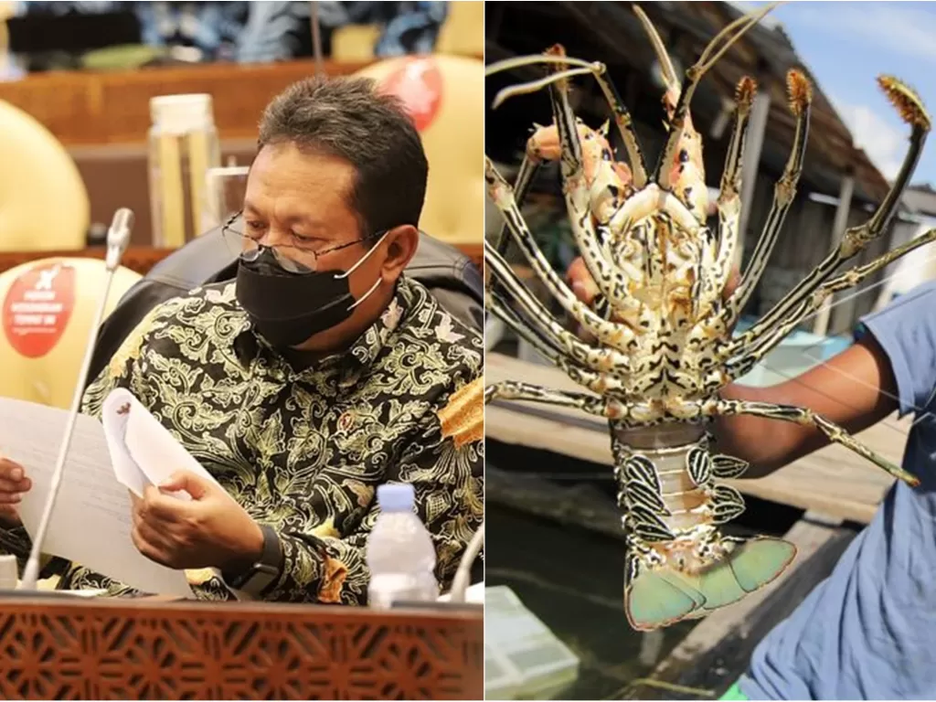 Kiri: Menteri KP Sakti Wahyu Trenggon (Instagram/swtrenggono) / Antara: Ilustrasi lobster (ANTARA FOTO/Ampelsa)