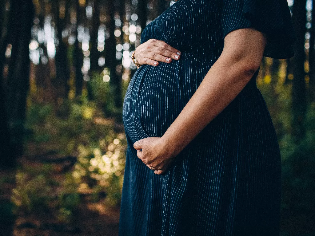 Ilustrasi ibu hamil (Pexels/Helena Lopes)