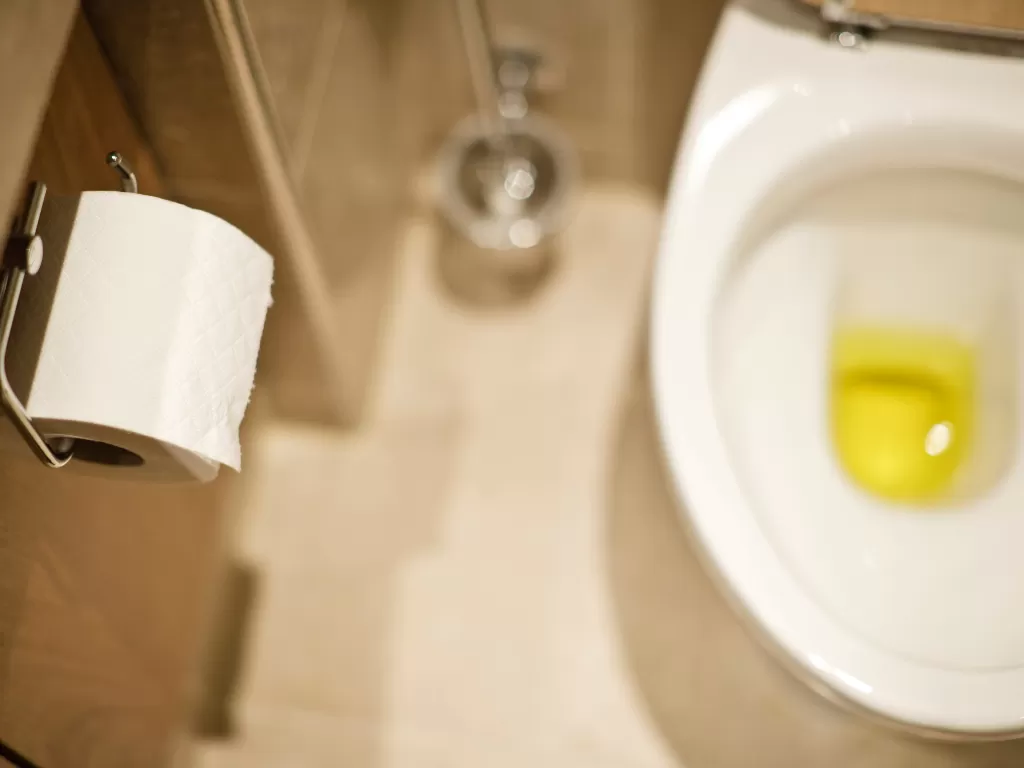 Ilustrasi urin di toilet. (healthgrades.com)