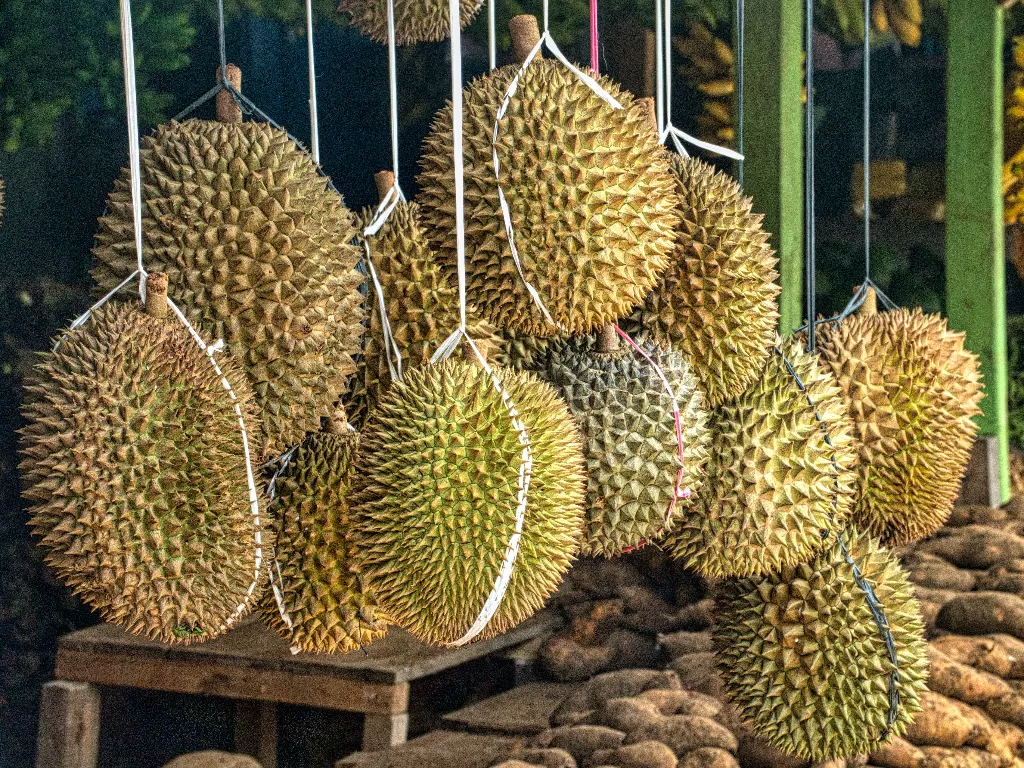 Durian (Photo by Tom Fisk from Pexels)
