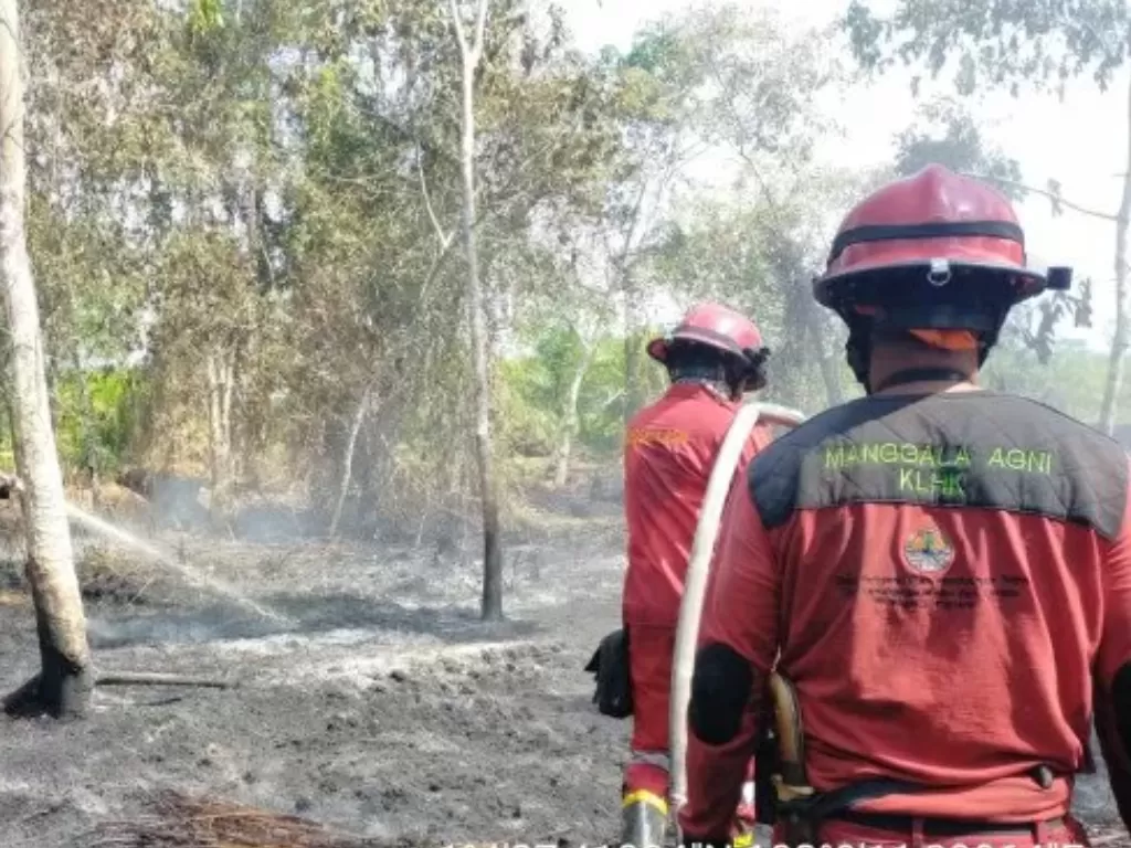 Petugas memadamkan api di Kecamatan Sungai Apit, Kabupaten Siak, Provinsi Riau (Antara)