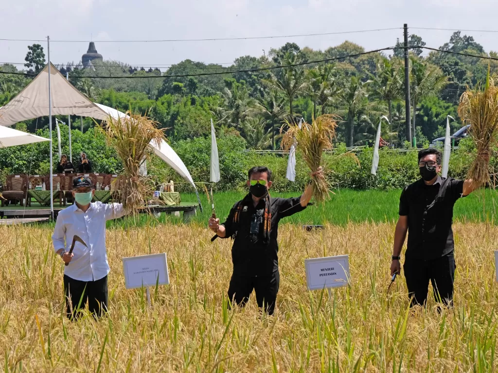 Menteri Pertanian Syahrul Yasin Limpo (tengah) memanen padi (ANTARA FOTO/Anis Efizudin)