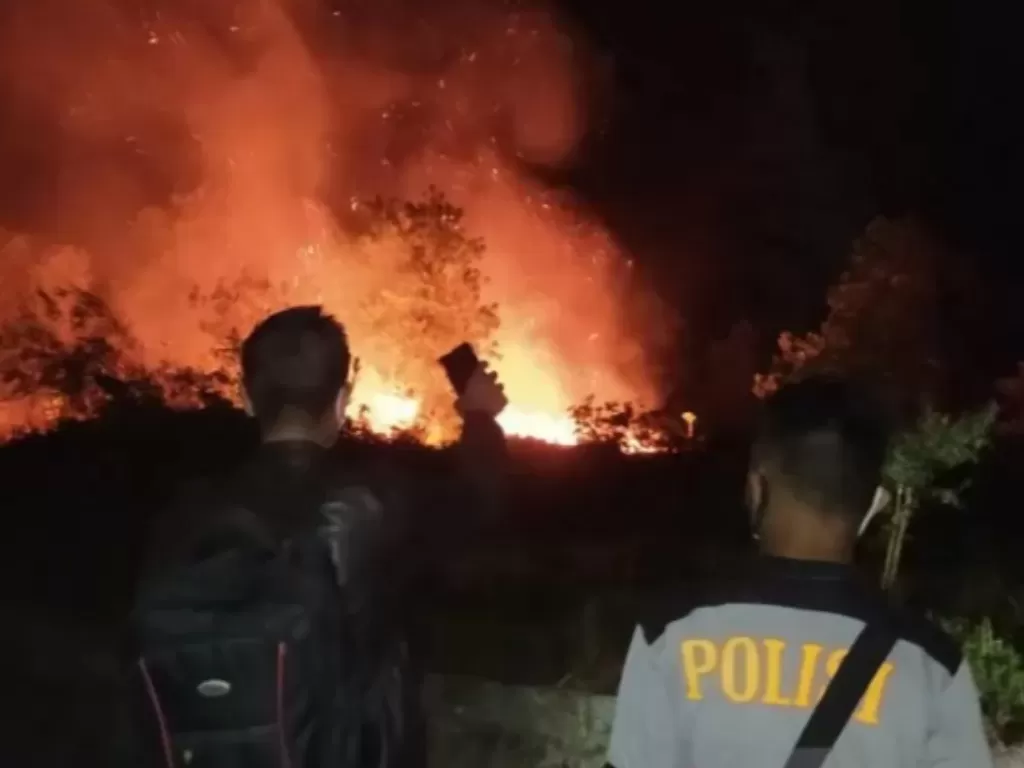 Kebakaran lahan di kawasan hutan reklamasi Kecamatan Parittiga. (ANTARA)