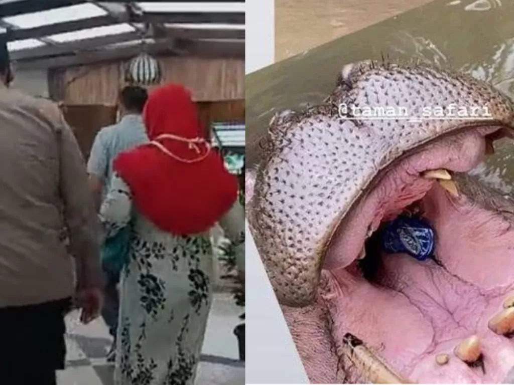 Ibu lansia ternyata pelaku pelempar botol plastik ke mulut kuda nil di Taman Safari Indonesia. (Ist)