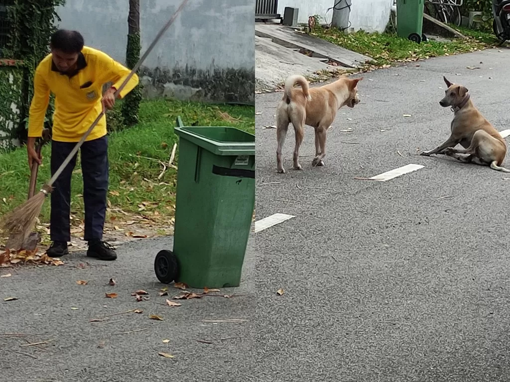 Petugas kebersihan dan anjing liar. (Photo/Facebook/Jagdeep Dhillon)