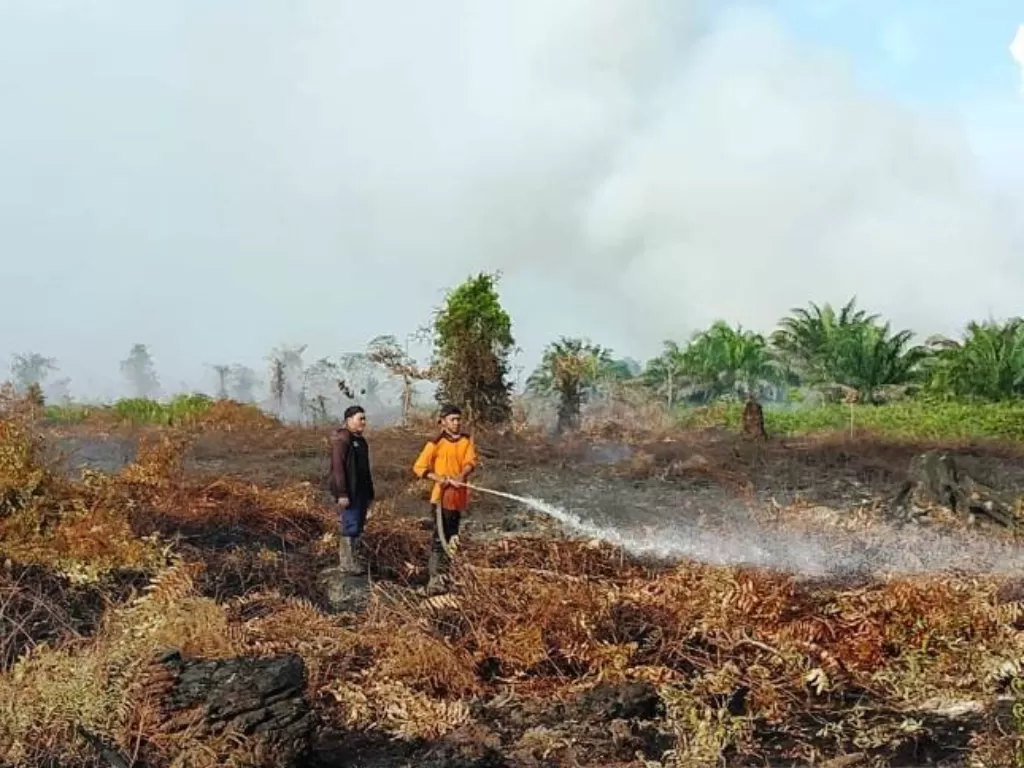  Petugas BPBD Aceh Barat melakukan upaya pemadaman api di lokasi kebakaran lahan gambut di kawasan Desa Gunong Pulo, Kecamatan Arongan Lambalek, Aceh Barat, Kamis (11/3/2021) sore. (ANTARA/HO) 