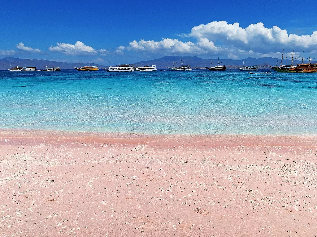 Pantai berpasir pink. (Unsplash/@medzcreative)