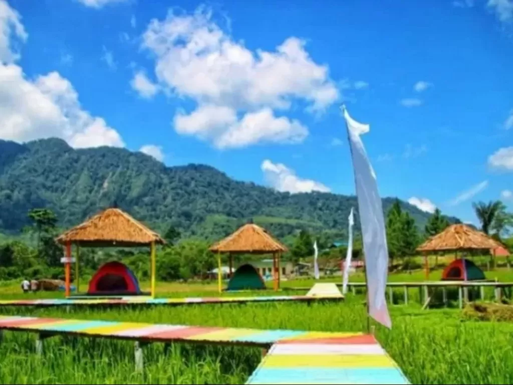 Objek wisata Tidur Sawah di Langkat, Sumatera Utara. (ANTARA/HO)