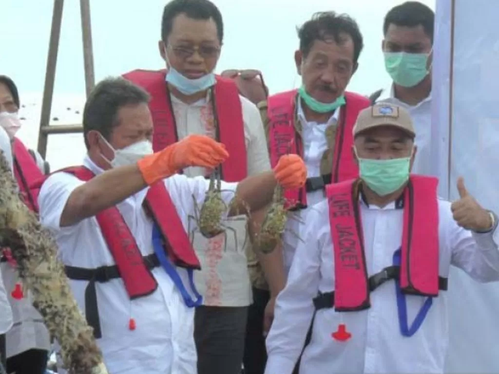 Menteri Kelautan dan Perikanan Sakti Wahyu Trenggono ketika meninjau proses pembudidayaan lobster di Balai Perikanan Budidaya Laut (BPBL) Lombok (Antara)