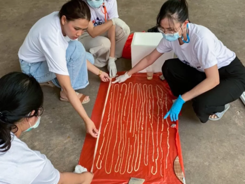 Cacing pita sepanjang 59 kaki keluar dari dubur pria di Thailand (ViralPress)