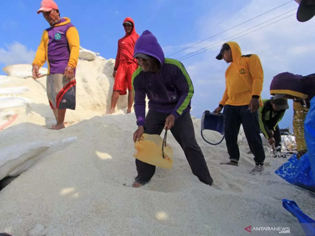   Sejumlah pekerja mengumpulkan garam ke dalam karung di Desa Luwunggeusik, Krangkeng, Indramayu, Jawa Barat, Senin (22/3/2021).  (photo/ANTARA FOTO/Dedhez Anggara)