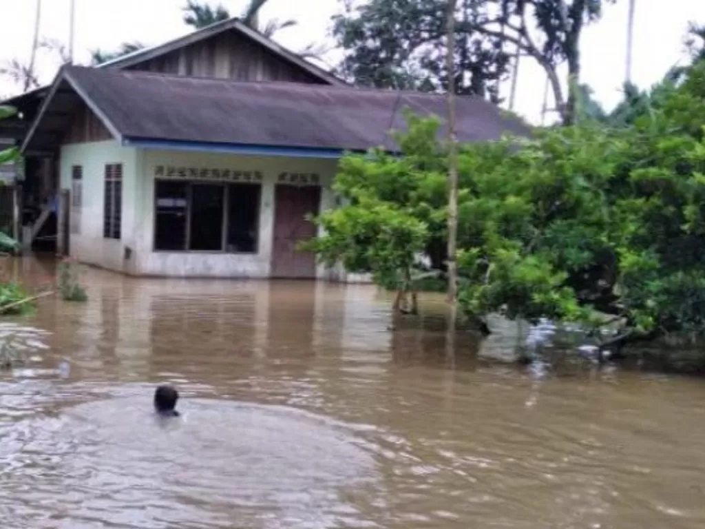 Rumah warga yang terendam banjir akibat intensitas hujan tinggi di Kabupaten Aceh Jaya (Antara)