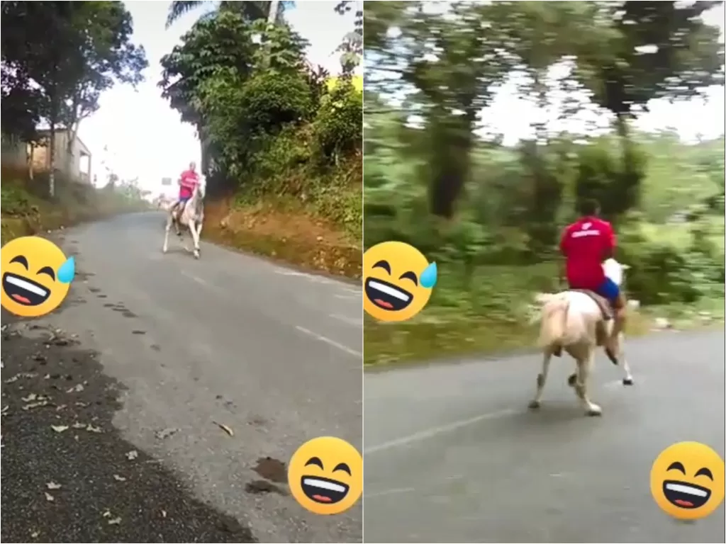 Penunggang pacu kudanya meluncur di jalanan aspal menurun (TikTok/@akangkendang89)