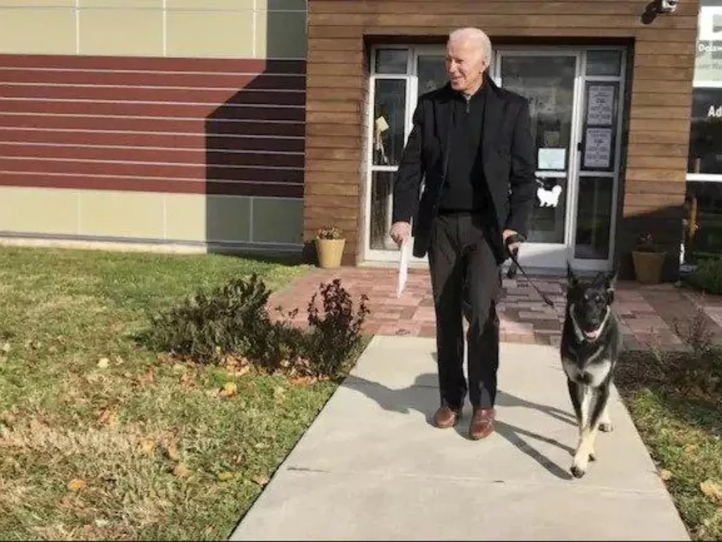 Presiden Joe Biden dan Anjingnya (AP)