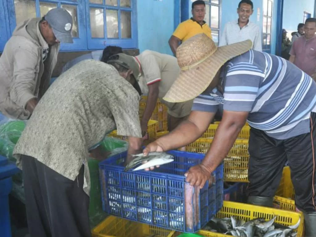  Nelayan menata hasil tangkapan ikan di PPN Idi, Kabupaten Aceh Timur, Selasa (9/3/2021). (Antara Aceh/Hayaturrahmah) 