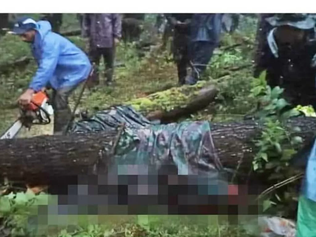 Dua calon prajurit TNI dan pelatih tewas tertimpa pohon di Gowa Sulsel (Instagram/makasar_info)