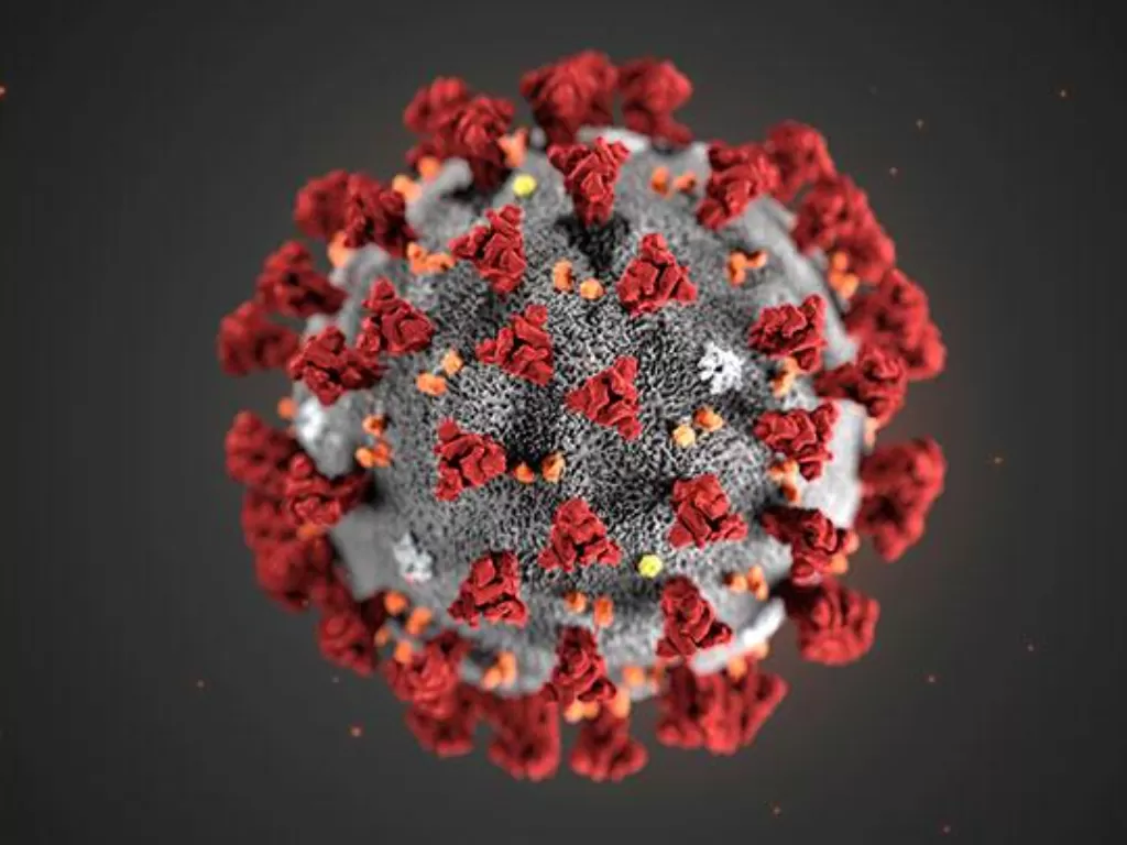 Ilustrasi virus corona. (REUTERS/CDC)