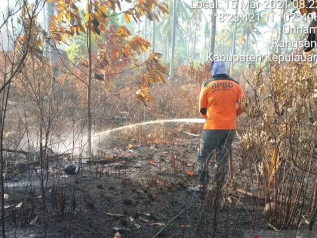  Petugas BPBD Kabupaten Kepulauan Meranti, Provinsi Riau, saat memantau kondisi bekas terjadinya karhutla di Desa Sonde, Kecamatan Rangsang Barat, Kabupaten Kepulauan Meranti, April 2021. (FOTO ANTARA/HO-BPBD Meranti) 