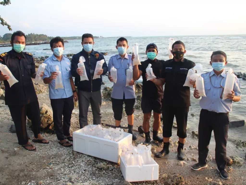 Penangkapan penyelundup benih lobster di Lebak, Banten. (Dok. Humas Polda Banten)