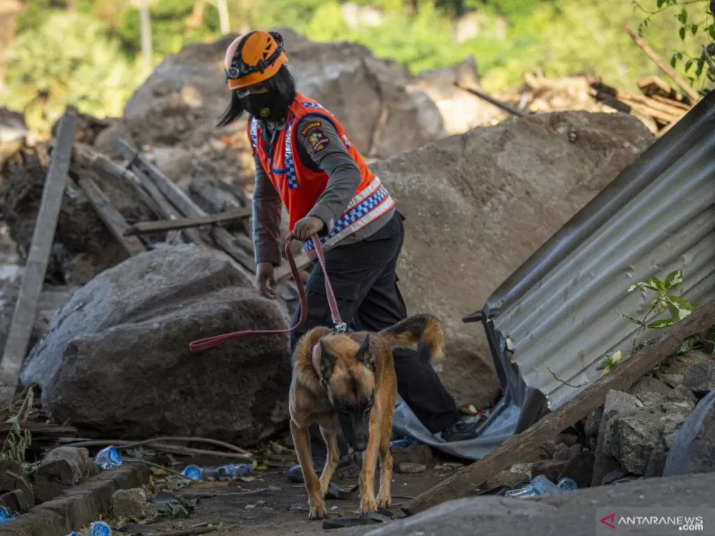 Polisi dan anjing pelacak mencari korban hilang dalam tanah longsor di Desa Waematan, Ile Ape, Kabupaten Lembata, Nusa Tenggara Timur (NTT), Sabtu (10/4/2021). (photo/ANTARA FOTO/Aditya Pradana Putra)