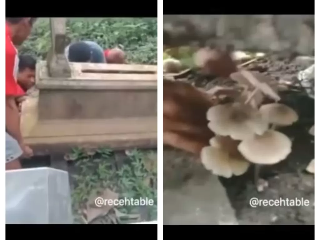 Viral sekelompok pemuda curi jamur di kuburan. (Instagram/@recehtable)