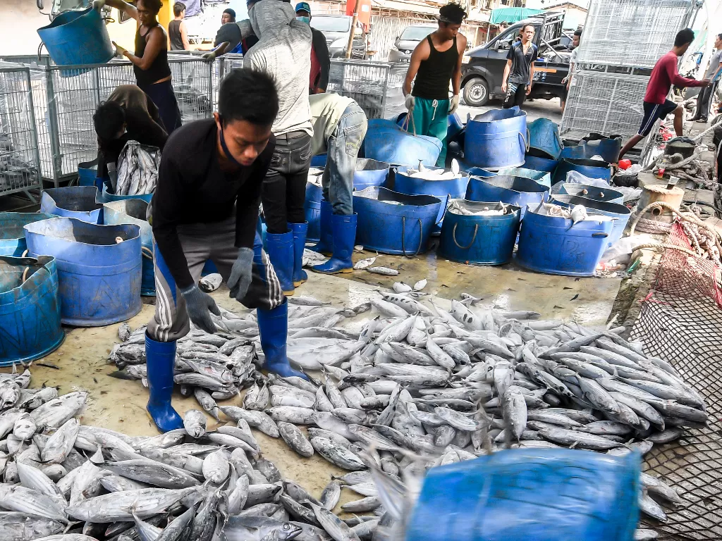   Ilustrasi: Nelayan melakukan bongkar muat ikan di Pelabuhan Muara Baru, Jakarta, Kamis (3/3/2021).  (photo/ANTARA FOTO/Muhammad Adimaja)