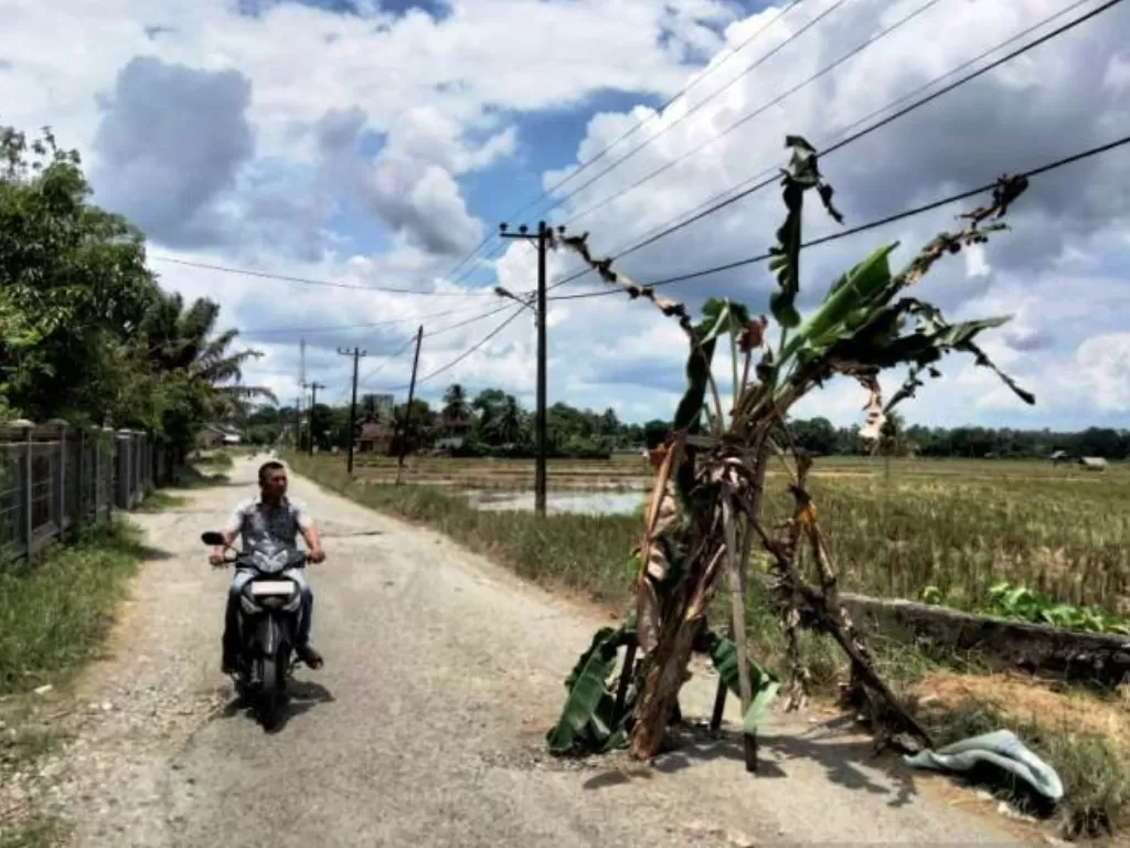 Pengguna jalan melintasi ruas jalan yang ditanami pohon pisang di kawasan Desa Nigan, Kecamatan Seunagan, Kabupaten Nagan Raya, Aceh, Rabu (14/4/2021). (ANTARA/Teuku Dedi Iskandar)